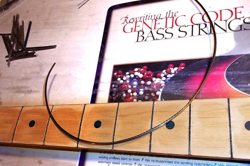 Sostituzione Tasti Basso Fender Music Man